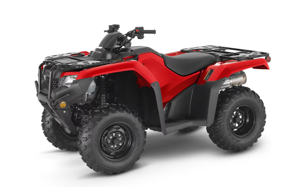 Model Image